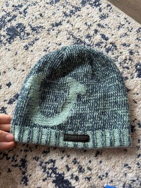 True Religion Green and Gray Knit Beanie